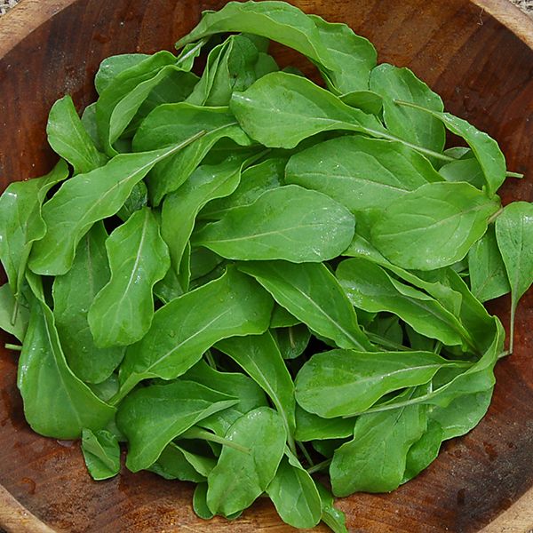Arugula