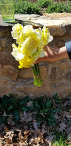 Cut Flowers