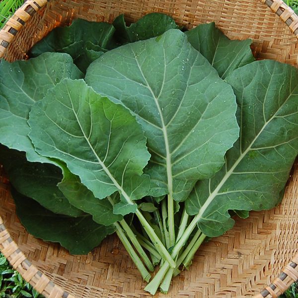 Collards