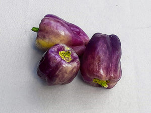 Bell Peppers - Purple